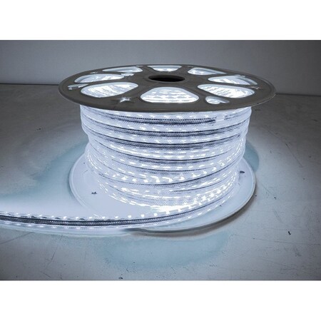 164Ft 110V Atmosphere 5050 Led Strip Lighting Reel (Cool White)